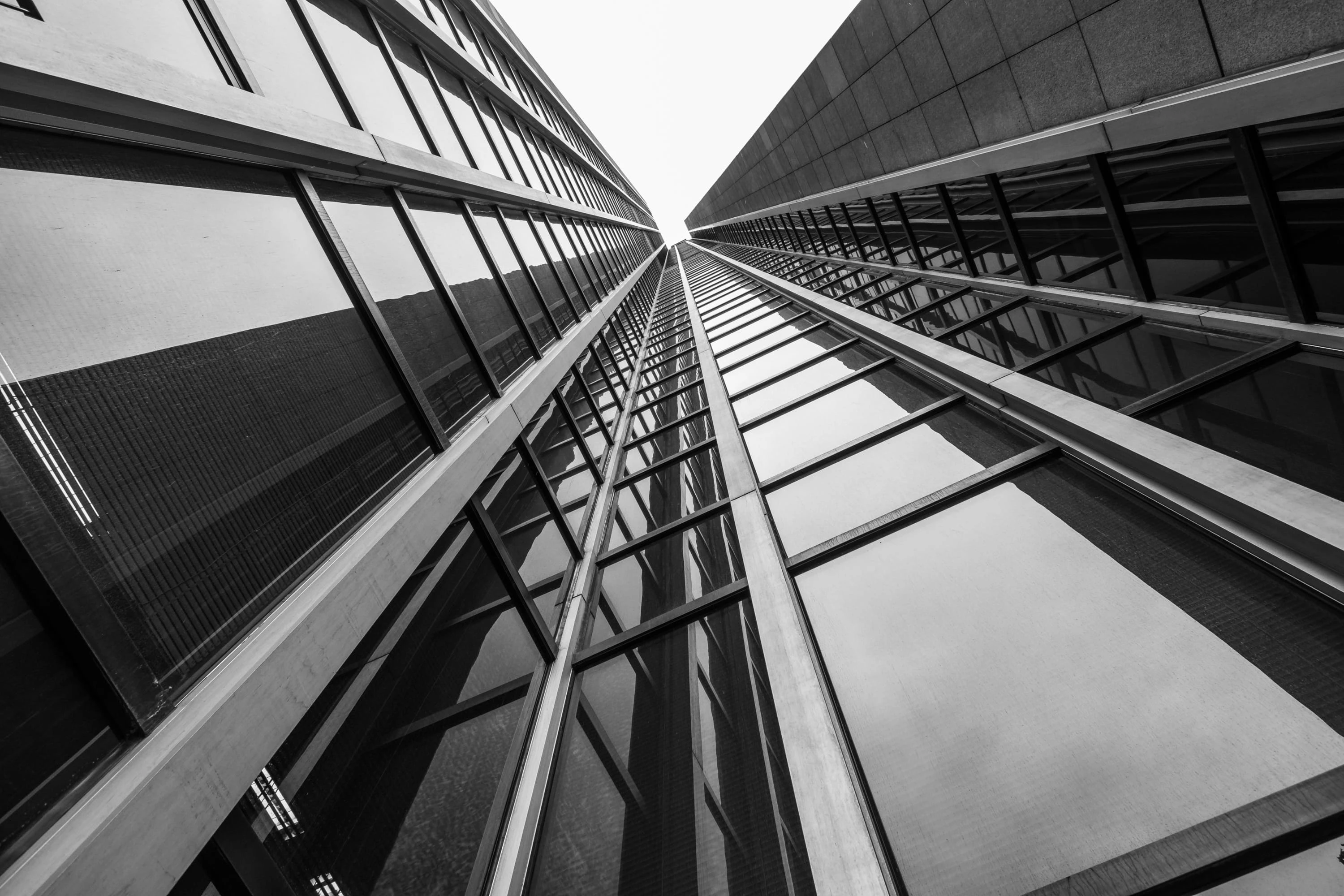 Partenaire